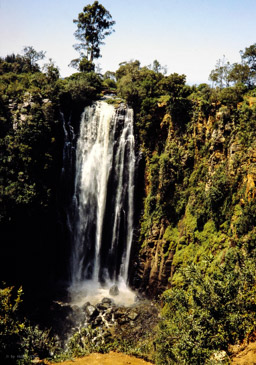 Thomson Falls